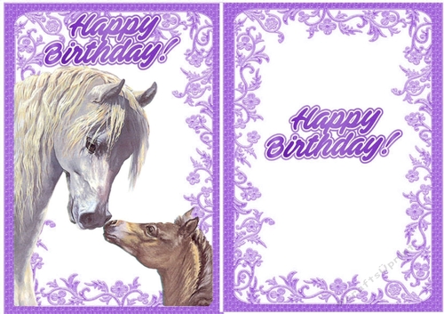 Lovely horse with baby foal A5 with insert (purple)