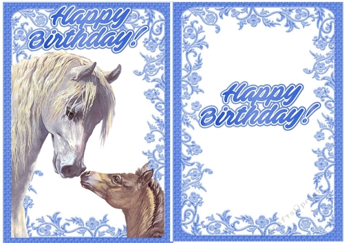 Lovely horse with baby foal A5 with insert (blue)