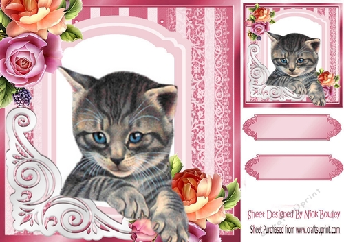 Cute little kitty with roses 8x8 frame