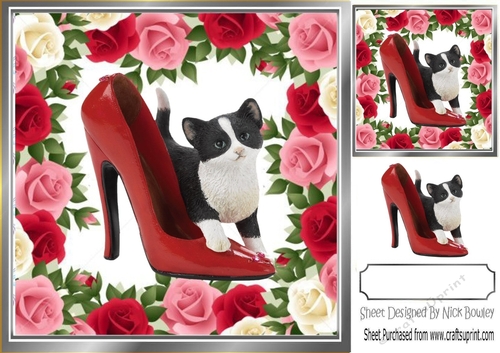 Pretty rose frame with kitty and shoe 8x8