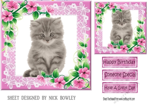 Pink lace frame with flowers and a kitten 7x7