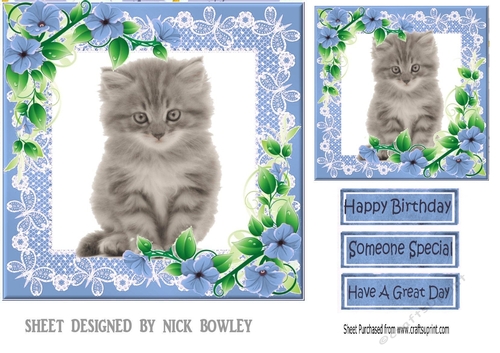 Blue lace frame with flowers and a kitten 7x7