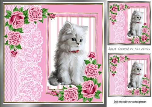 cute white kitten with pink roses and lace 8x8 window card 