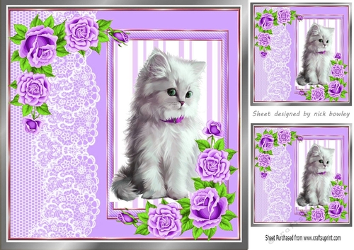cute white kitten with lilac roses and lace 8x8 window card