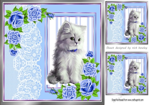 cute white kitten with blue roses and lace 8x8 window card