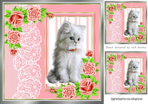 cute white kitten with peach roses and lace 8x8 window card