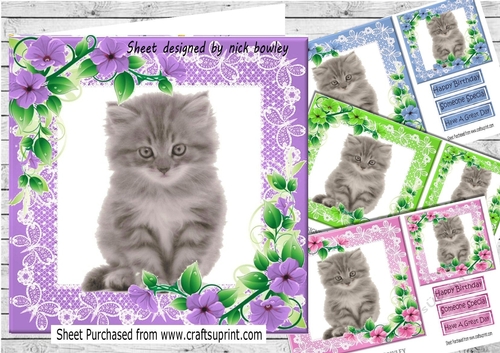 4 coloured lace frames with flowers and kittens 7x7 card front mini kit