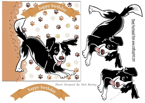 playful black/white dog 7x7, card front
