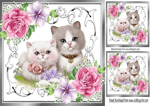 Cute kittens with flowers in silver ornate 8x8 frame