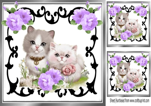  black ornate frame  with kittens and lilac roses 8x8