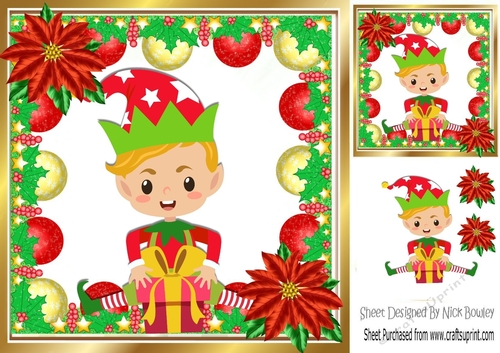 Pixie and Baubles with poinsettias 8x8