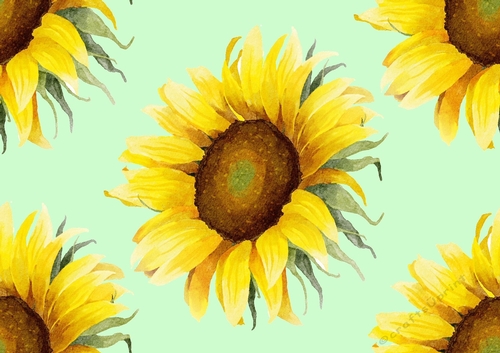Lovely water colour sunflowers green (BIG) Backing paper