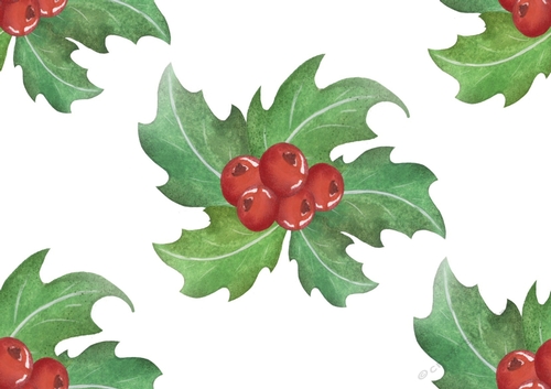 Lovely water colour holly with berries (big) backing paper