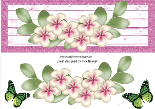 Pretty pink/white border of flowers with butterflies DL