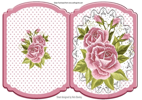 Pretty pink roses on lace with polkadot , bracket card