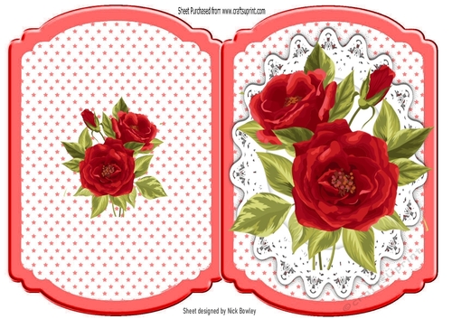 Pretty red roses on lace with polkadot , bracket card
