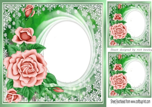 Pretty Peach Roses With Oval Centre and Lace 8x8