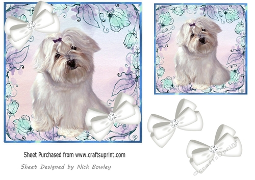 Blue Floral  7x7 card front with a cute westie