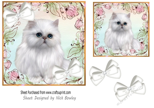 Pink Floral  7x7 card front with a white persian kitten