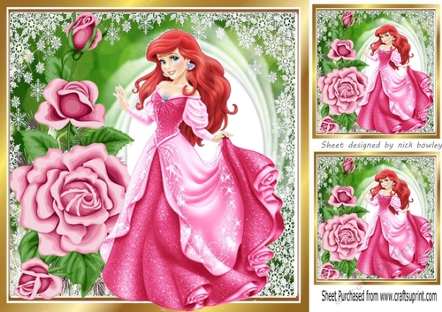 pretty princess with cerise roses 8x8
