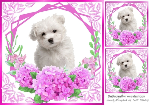cerise flowers ornate card front/insert 8x8 with westie