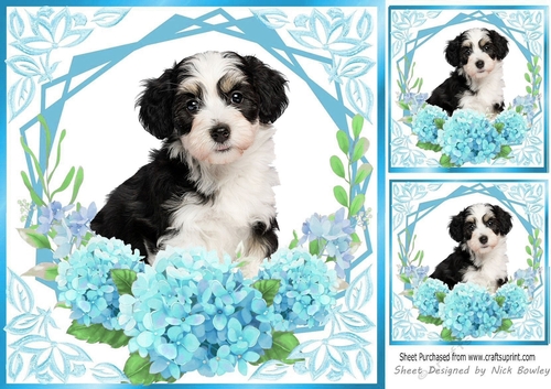 Turq flowers ornate card front/insert 8x8, with a puppy