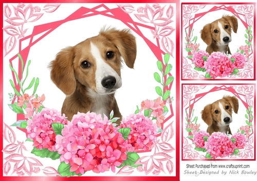 red flowers ornate card front/insert 8x8 with a puppy