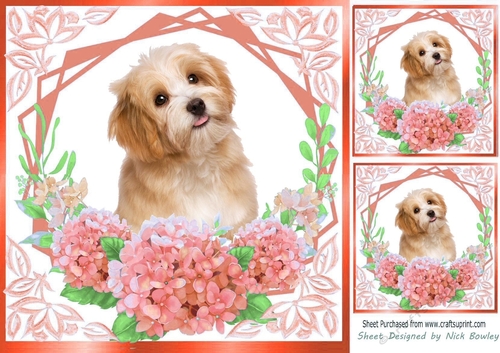 peach flowers ornate card front/insert 8x8 with  a puppy