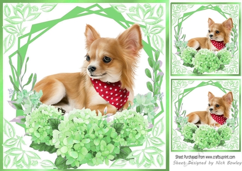 green flowers ornate card front/insert 8x8 with a chichuhua