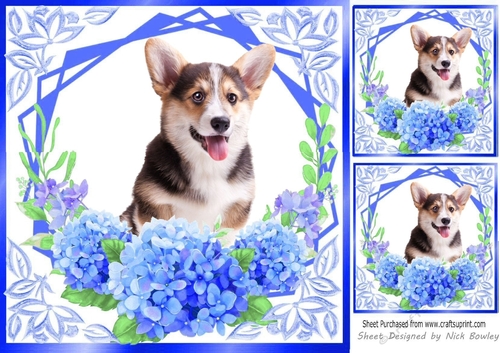 Pretty bright blue flowers ornate card front/insert 8x8 with a Corgi