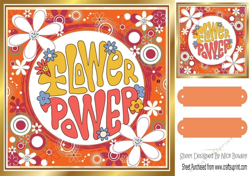FLOWER POWER! Orange Flowers 8x8