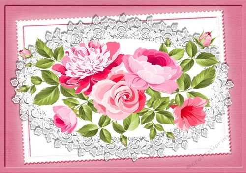 Pretty pink roses on lace A4 Card