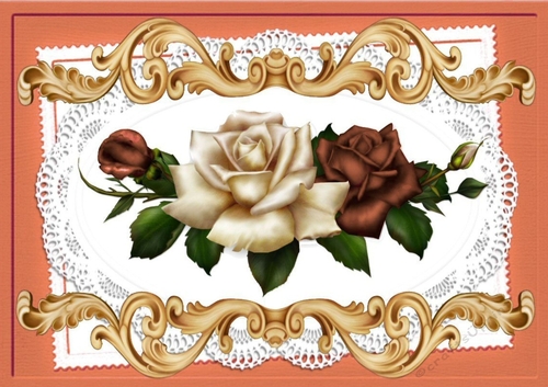 Pretty peach/cream roses on lace A4 Ornate Card Big