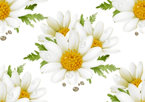 Pretty white and yellow daisy backing paper (BIG)