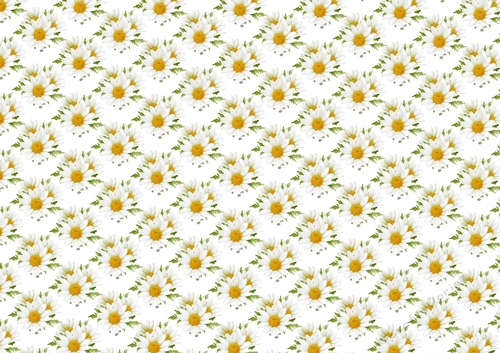 Pretty white and yellow daisy backing paper (SMALL)