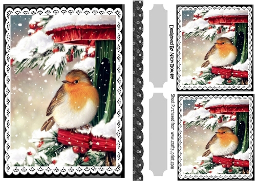 Pretty Robin in the snow A5 Black lace frame
