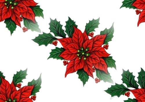 Lovely red poinsettias backing paper (Big)