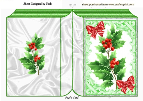 Ornate frame with pretty holly and berries A5 Folded book,