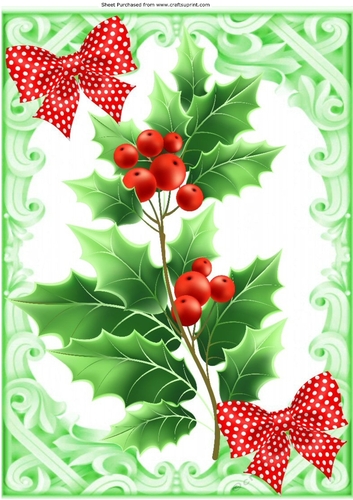 Ornate frame with pretty holly and berries A4