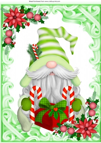 Ornate frame with Christmas Gnome A4