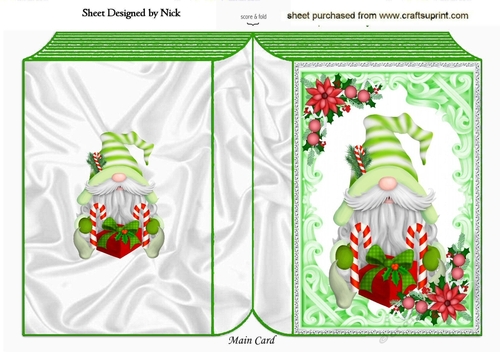 Ornate frame with Christmas Gnome A5 Folded book,