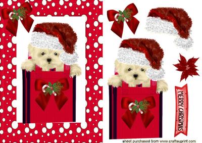Cute Little Gypsey the Westie