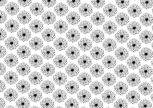 Black and White Polkadot small flower Backing paper