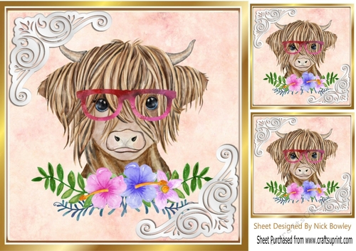 Highland Cow with flowers 8x8 card/front