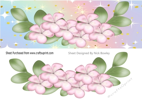 Pretty Rainbow, stars and pink flowers DL