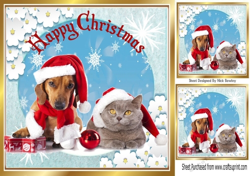 Lovely Dog & Cat in santa hats in snow scene 8x8