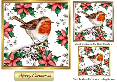 Pretty Robin on a branch in poinsettia card frame 7x7