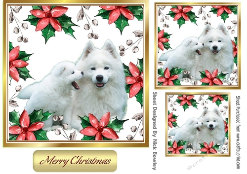 cute white puppies in poinsettia card frame 7x7