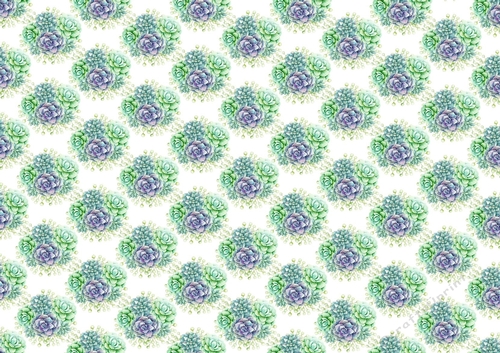 pretty succulent flowers (small) Backing paper pretty shades