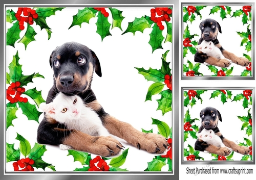 Lovely Holly and red berry card front with  a puppy & kitten